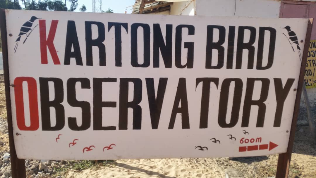 karbong bird